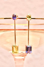 Load image into Gallery viewer, Big City Earrings Long